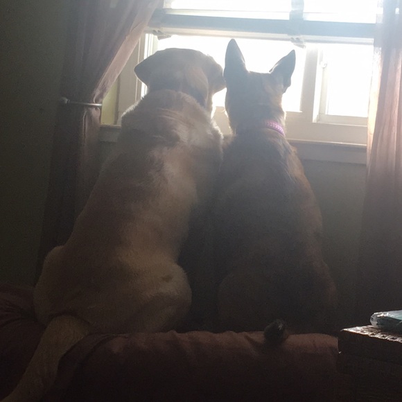 Hello! I’m Carrie ☺️ Reasonable offers accepted! - Picture 3 of 4